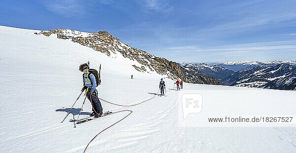 Ski tourers walking on the rope on the glacier  ascent on Berglasferner  view of mountain panorama  Stubai Alps  Tyrol  Austria  Europe