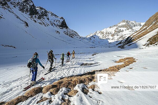 Gruppe Skitourengeher im Oberbergtal  verschneite Berge mit Gipfel Aperer Turm  Stubaier Alpen  Tirol  Österreich  Europa