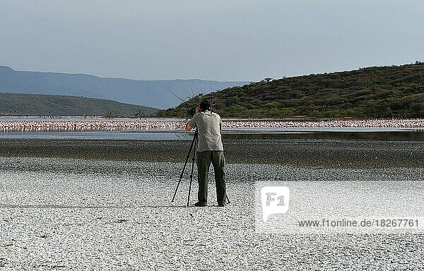 Fotograf fotografiert Flamingos (Phoenicopteridae) am Nakurusee  Salzsee  Rift Valley  Kenia  Afrika