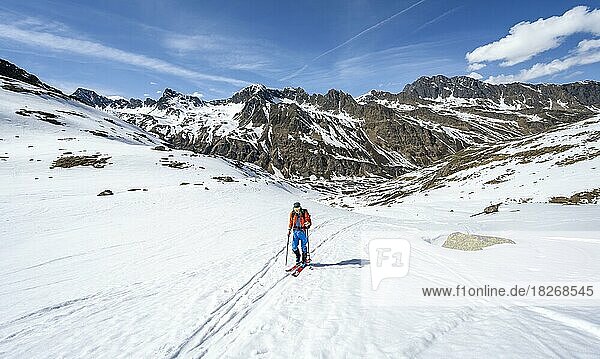 Ski tourers during the ascent in Stiergschwez  ascent to Sommerwandferner  Stubai Alps  Tyrol  Austria  Europe