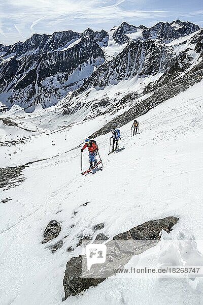 Skitourengeher beim Aufstieg zum Lisenser Ferner  Berglastal  Ausblick auf Berge und Gletscher mit Gipfel Östliche Seespitze und Innere Sommerwand  Stubaier Alpen  Tirol  Österreich  Europa