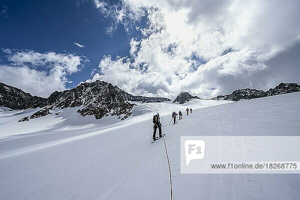 Group of ski tourers ascending on the rope  at Alpeiner Ferner  ascent to Obere Hölltalscharte  Stubai Alps  Tyrol  Austria  Europe