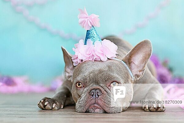 Französische Bulldogge Hund mit niedlichen Geburtstag Party Hut neben lila Luftschlangen vor blauem Hintergrund