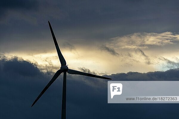 Windkraftanlage vor dramatischen Wolkenhimmel  Wanzleben  Sachsen-Anhalt  Deutschland  Europa