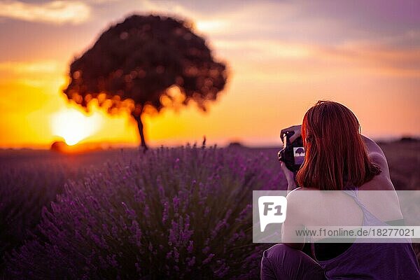 Eine Frau bei Sonnenuntergang in einem Lavendelfeld mit lila Blüten  Brihuega. Guadalajara  Spanien  Europa