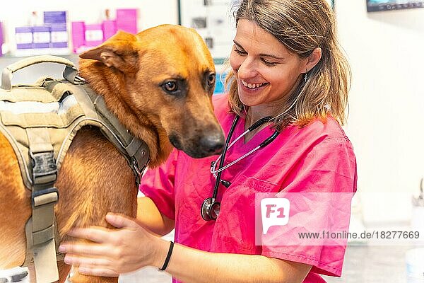 Tierklinik  kaukasischer Tierarzt in rosa Uniform lächelt neben einem braunen Hund