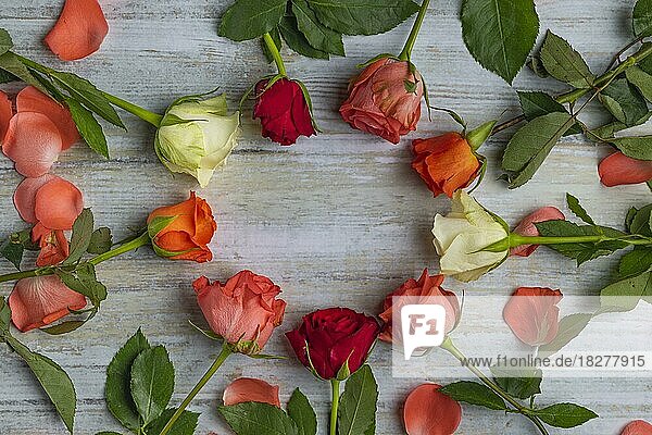 Hintergrund  Valentinstag  Blumen  Rosen  Studioaufnahme