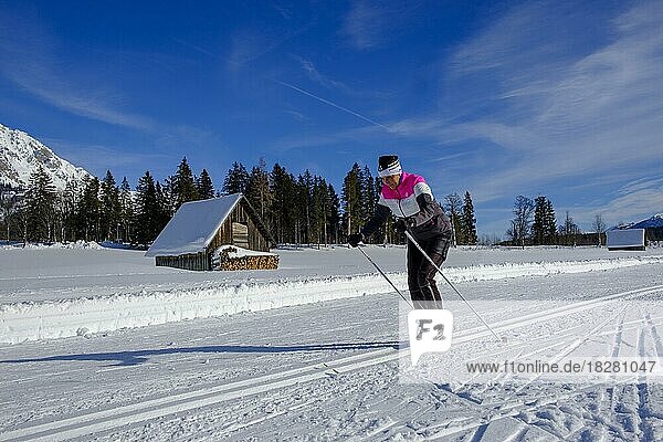 Cross-country skiers on cross-country trails  winter  Ramsau am Dachstein  Styria  Austria  Europe