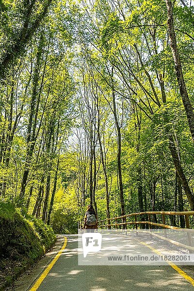 Eine junge Frau geht durch den Pagoeta-Park in Aia  Gipuzkoa  Baskenland  Spanien  Europa