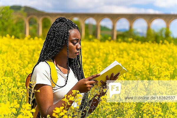 Reading a book in nature with a serious face  a black ethnic girl with braids  a traveler  in a field of yellow flowers
