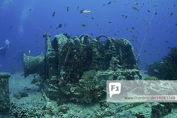 Anchor winch of the Thistlegorm from the Second World War. Dive site Thistlegorm wreck  Sinai  Egypt  Red Sea  Africa