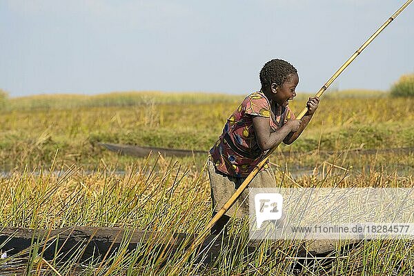 Girl on canoe  dugout canoe  banana boat  Bangweulu swamps  Zambia  Africa