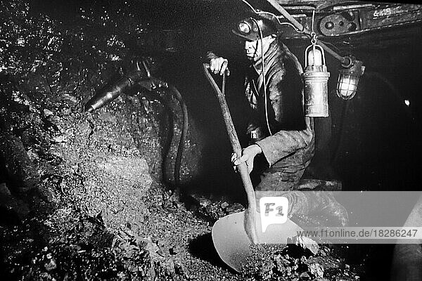 Bergmann  Hauer  der unter Tage im Schacht arbeitet  Kohle von Hand mit Schaufel und Presslufthammer  Hacke im Bergwerk  Kohlebergwerk  Kohlegrube fördert