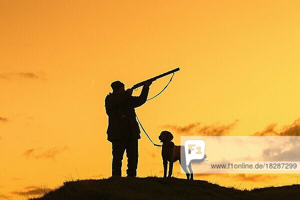Jäger in der Wiese bei Sonnenuntergang  Sonnenaufgang Schießen mit Jagdgewehr  Schrotflinte und Weimaraner Hund gegen orange Himmel silhouettiert