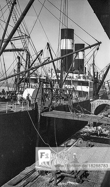 Old early 1900s photo of stevedores  dockers  longshoremen  dockworkers unloading  loading steamship in the port of Antwerp  Belgium  Europe