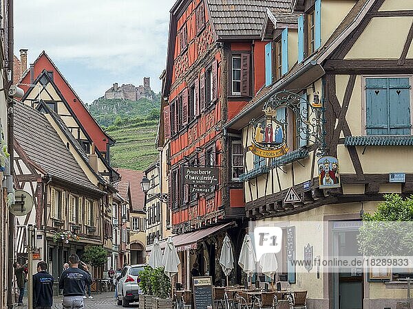 Alten bunten Fachwerkhäuser im Zentrum der Altstadt  Ribeauville  Rappoltsweiler  Rappschwihr  Grand Est  Haut-Rhin  Elsass  Alsace  Frankreich  Europa