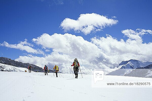 Alpine Gletscherwanderer beim Wandern auf dem Aletschgletscher in den Schweizer Alpen. Jungfrau Joch  Eiger  Schweiz  Europa
