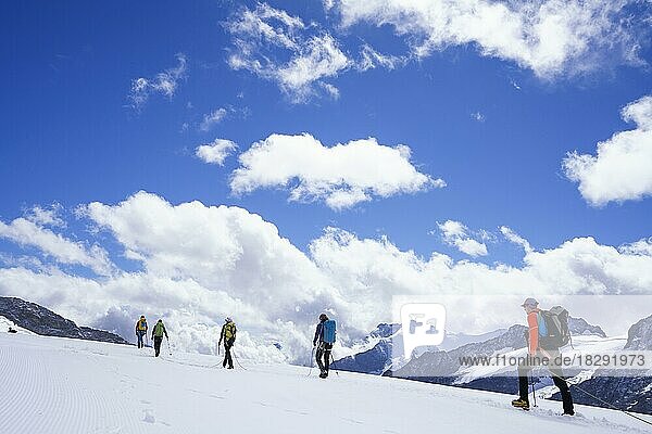 Alpine Gletscherwanderer wandern auf dem Aletschgletscher. Die Bergsteiger gehen auf der Spitze des Gletschers gegen Berge und blauen Himmel mit Wolken. Der Hintergrund zeigt Berge mit Himmel und Wolken. Die Schweizer Alpen  Jungfrau Joch  Eiger  Schweiz  Europa