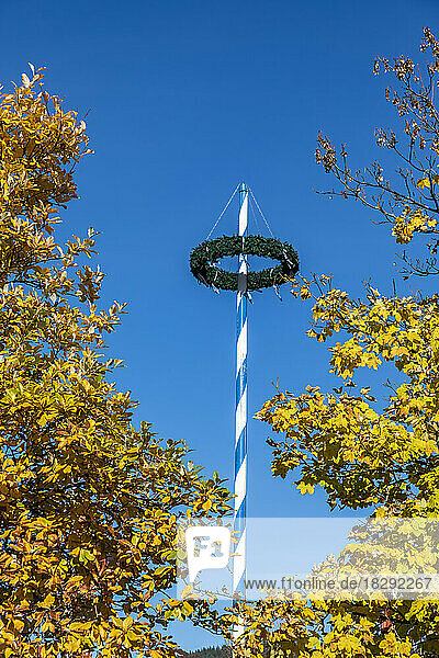 Germany  Bavaria  Maypole with autumn trees in foreground