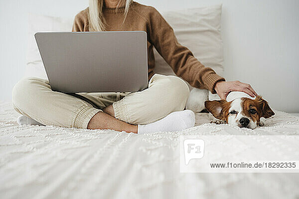 Woman using laptop and stroking dog on bed