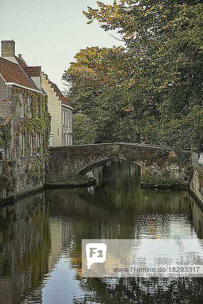 Belgium  West Flanders  Bruges  Arch bridge over city canal