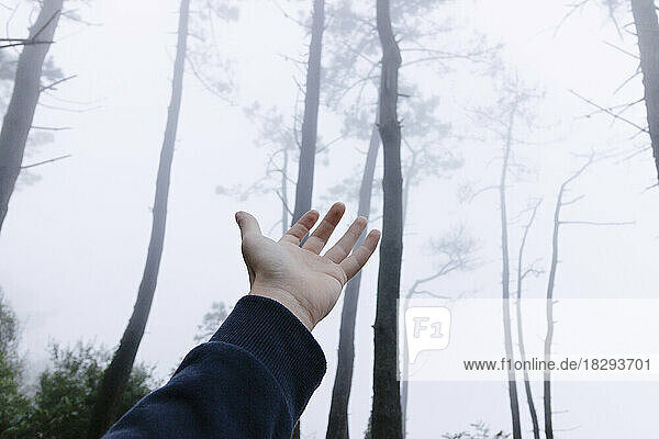 Mann hebt die Hand im nebligen Wald
