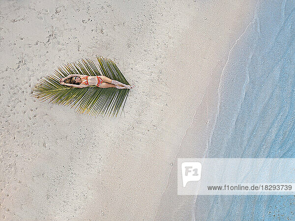 Woman lying on palm leaf at beach