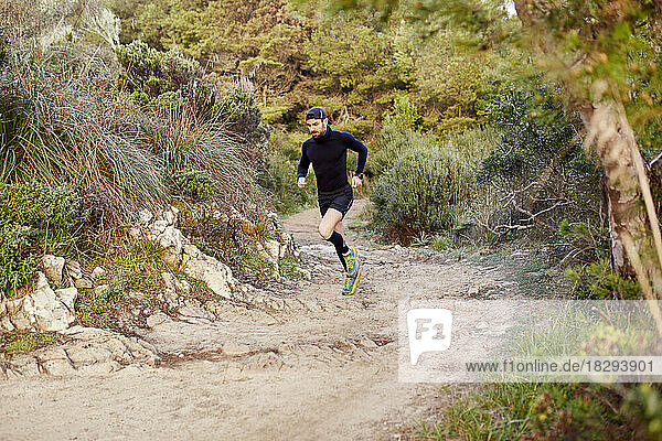 Active man running on dirt road in forest at morning