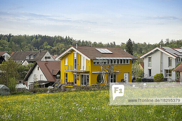 Meadow in front of modern wooden houses under sky