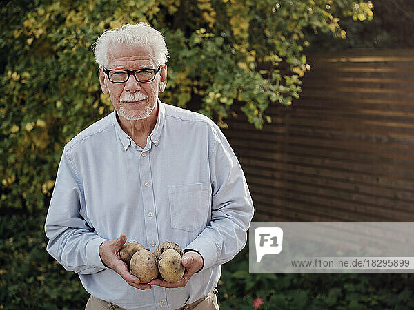 Älterer Mann steht im Garten und hält frisch geerntete Kartoffeln in der Hand