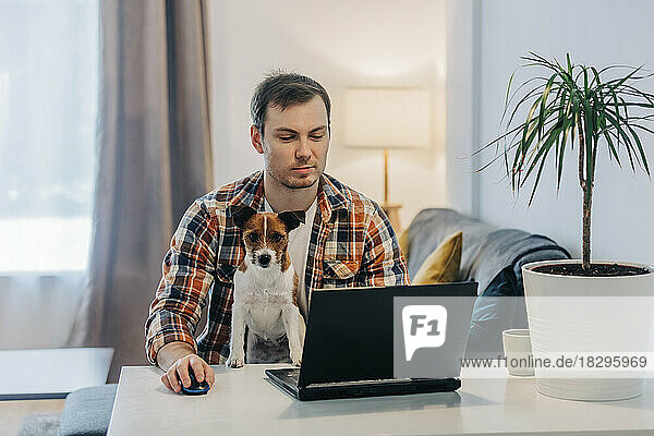 Freiberufler mit Hund arbeitet zu Hause am Laptop am Schreibtisch