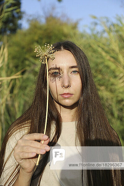 Young woman holding dried flower on sunny day
