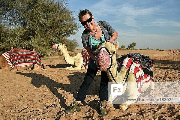 Woman and camel in a sandy desert  Dubai  United Arab Emirates  Asia