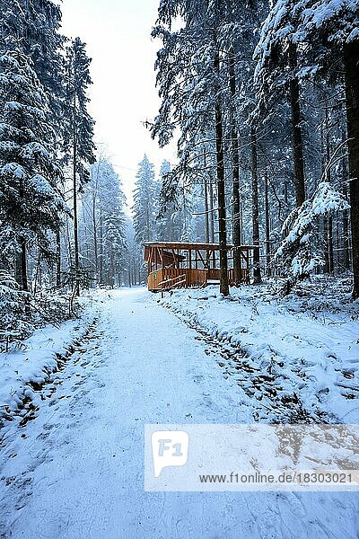 Waldweg bei Schnee und Nebel  Schömberg  Schwarzwald  Deutschland  Europa