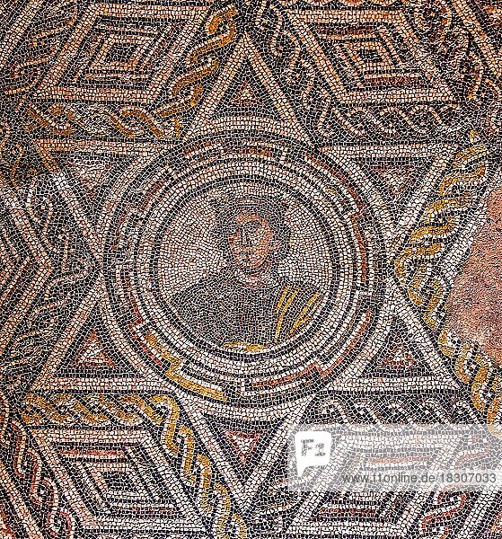 Room of the Seasons  mosaic floor  3rd  4th century luxury Roman villa  Villa Romana del Casale  Piazza Armerina  Sicily  Piazza Armerina  Sicily  Italy  Europe