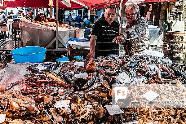 Historic fish market La pescheria with a cornucopia of colourful sea creatures  Catania  Catania  Sicily  Italy  Europe