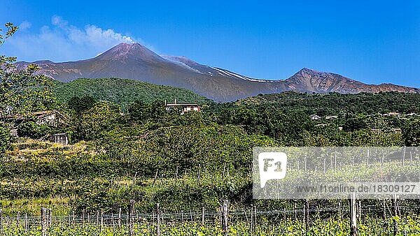 Fertile enclosure in front of Aetna with four summit craters is the highest active volcano in Europe at 3357 metres  Aetna  Sicily  Italy  Europe