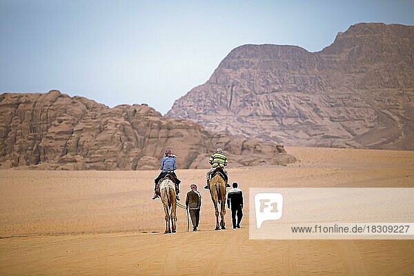 Reiter auf Kamelen (Camelidae) in der Wüste  Rückansicht  Wadi Rum  Jordanien  Asien