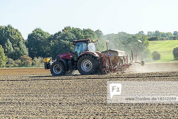 CASE 12 150 roter Traktor beim Eggen von Feldern  Suffolk Sandlings  Suffolk  England  UK