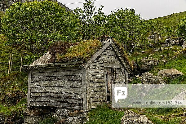 Verfallene Hütte am Vogelfelsen auf der Insel Runde  Norwegen  Europa