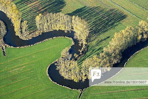 Luftbild der Schwinge im Herbst  Fluss  natürlich  Niedersachsen  Deutschland  Europa