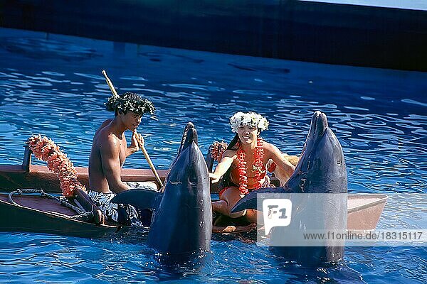 Hawaiian show at Sealife Park with dolphins  Oahu  Hawaii  USA  North America