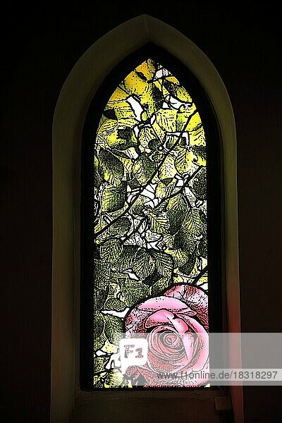 Kirchenfenster mit rote Rose der Marktkirche  Glasmalerei  Kunsthandwerk  Innenansicht  Innenstadt  Wiesbaden  Taunus  Hessen  Deutschland  Europa