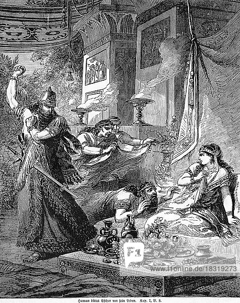Haman begs Esther for his life  magnificent hall  death  plead  request  fear  food  grapes  jug  plate  table  sword  Bible  Old Testament  The Book of Esther  chapter 7  verse 8  historical illustration c. 1850