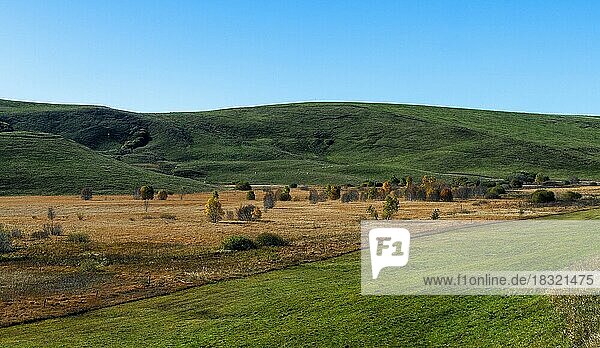 Moorlandschaft mit trockenem Moorgras  Hochebene von Cezallier  Puy de Dome  Auvergne Rhône-Alpes  Frankreich  Europa