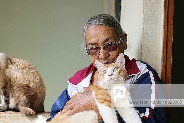 Favela  senior citizen with her cats  Belo Horizonte  Minas Gerais  Brazil  South America
