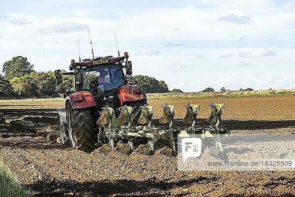 CASE 220 red tractor ploughing field six-furrow plough  Suffolk Sandlings  Suffolk  England  UK