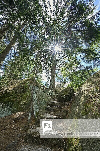Felsen  Weg  Treppe  Sonne  Luisenburg Felsenlabyrinth  Wunsiedel  Fichtelgebirge  Bayern  Deutschland  Europa