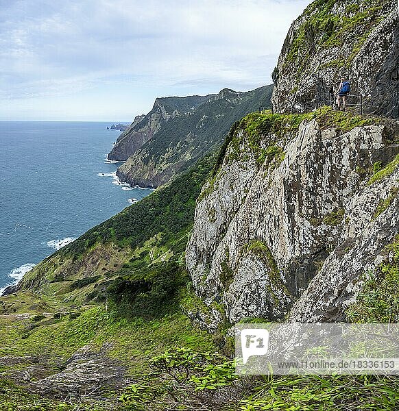 Steilklippen und Berge  Wanderin auf Wanderweg Vereda do Larano  Madeira  Portugal  Europa