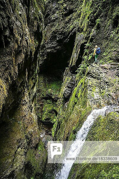 Adventure in nature  hiker in a gorge at PR9 Levada do Caldeirão Verde  Madeira  Portugal  Europe